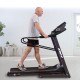 Andando BH Pioneer Senior G6484H